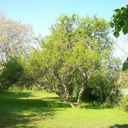 Sens sur Seille Chez Scallan B&B מראה חיצוני תמונה
