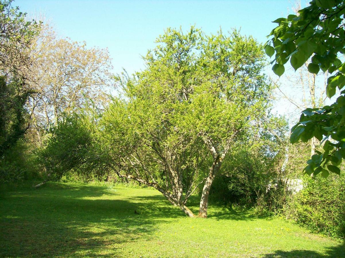 Sens sur Seille Chez Scallan B&B מראה חיצוני תמונה